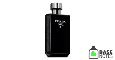 prada homme basenotes|prada l'homme cologne review.